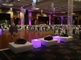 Wedding Reception 16 June 2012